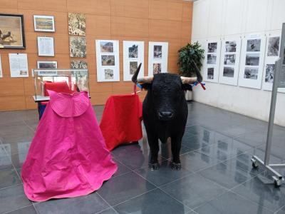 exposición encierro del pilón de falces